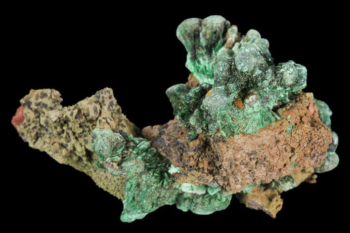 Fibrous Malachite Crystal Cluster - Mexico #126995